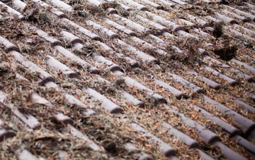 Bellsquarry roof cleaning companies