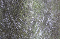 Bellsquarry fibreglass roof work